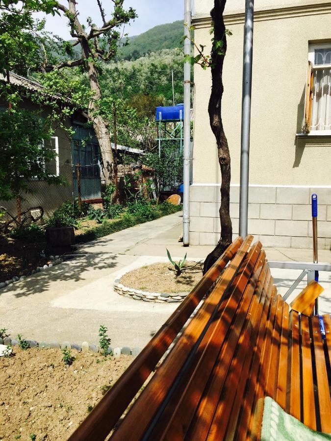 Guest House Vladimir Gagra Gagry Exterior photo